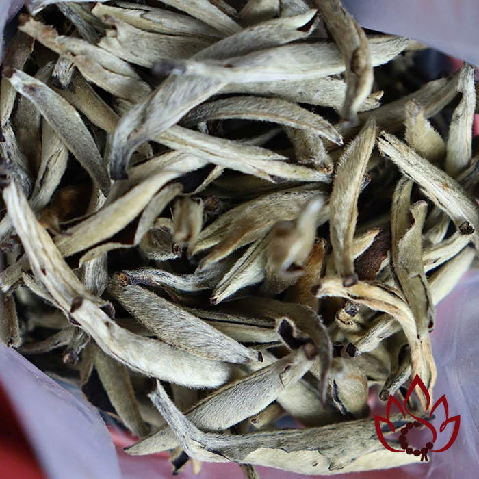 Bạch Trà Bạch Hào Ngân Châm Vân Nam | 50 gram